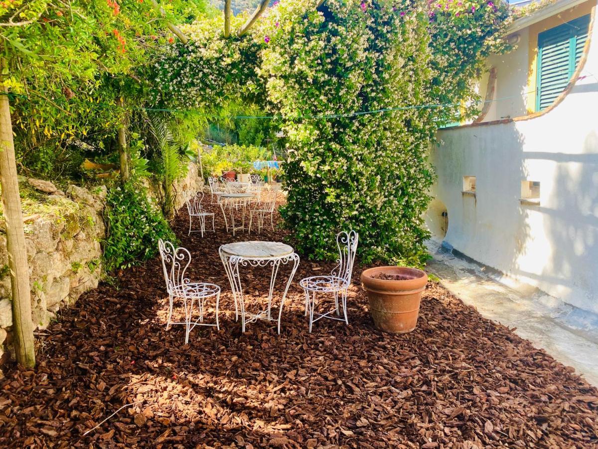 Casa Da Adoa B&B Portinho da Arrábida Exteriér fotografie