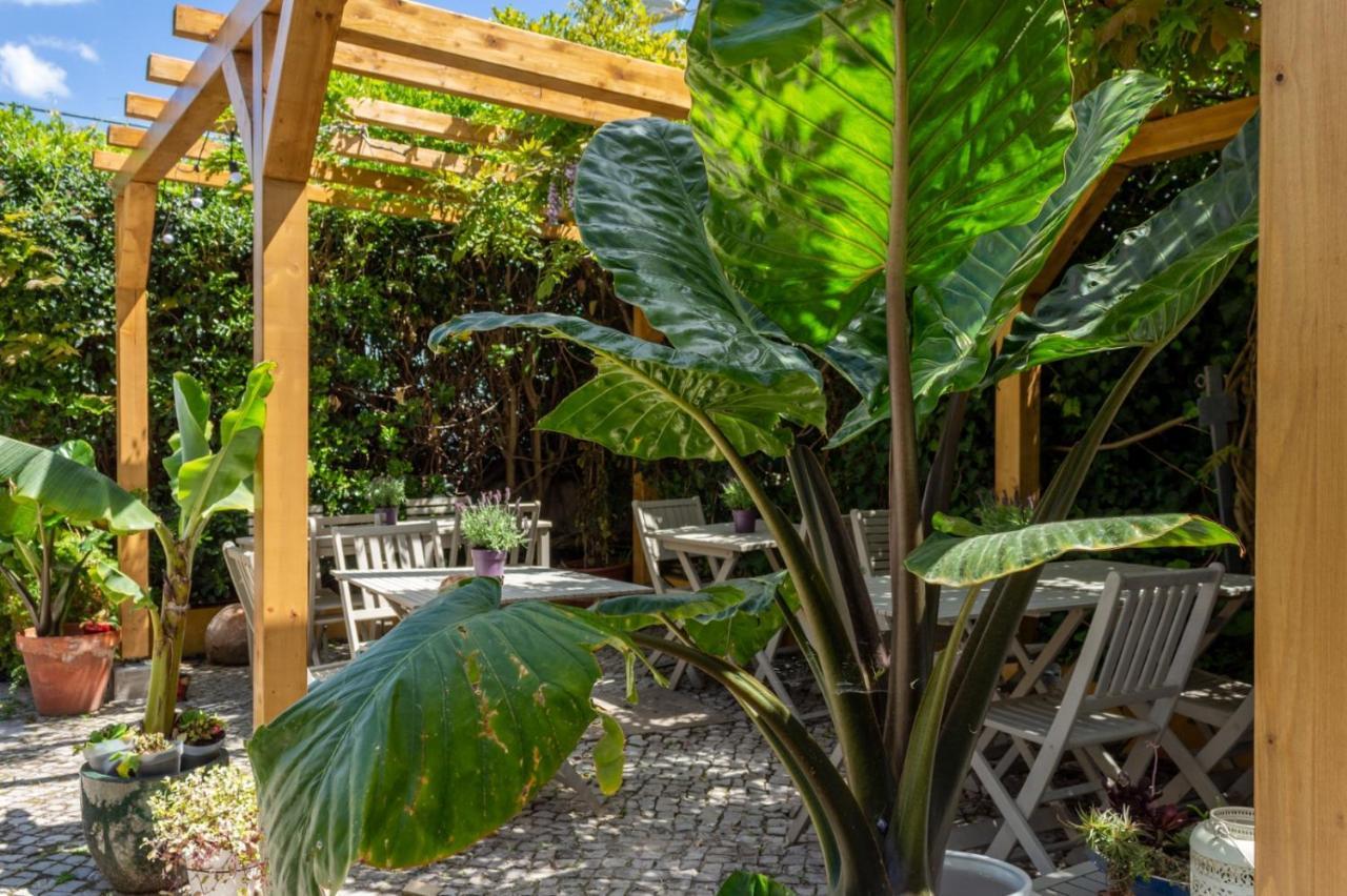 Casa Da Adoa B&B Portinho da Arrábida Exteriér fotografie