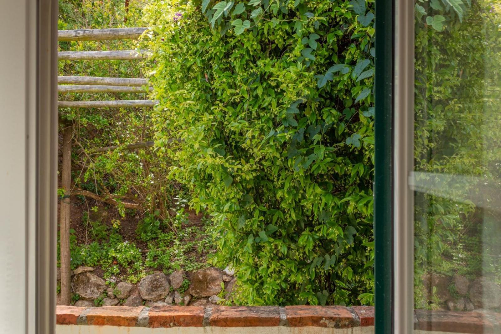 Casa Da Adoa B&B Portinho da Arrábida Pokoj fotografie