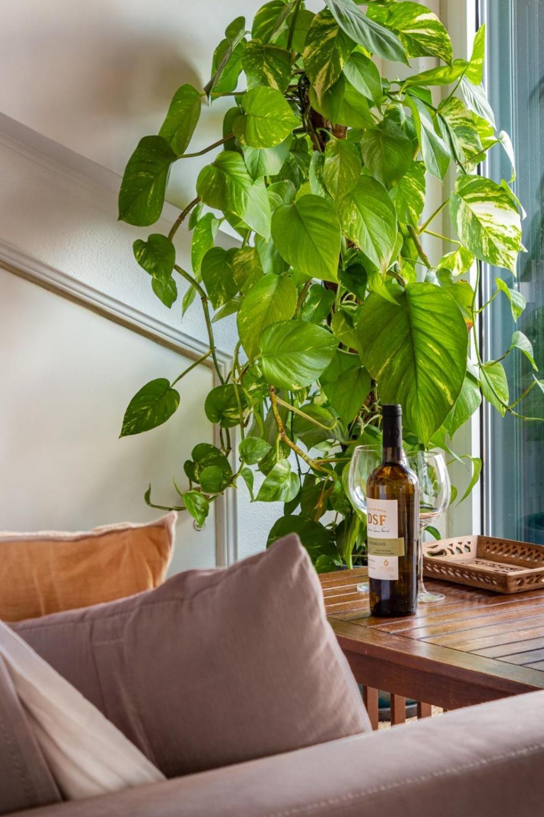 Casa Da Adoa B&B Portinho da Arrábida Pokoj fotografie